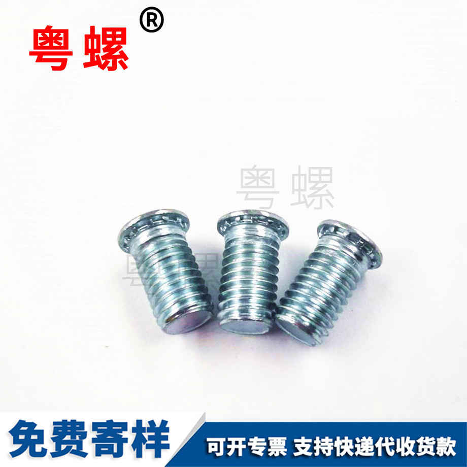 批發(fā)圓頭邯鄲壓鉚螺釘
