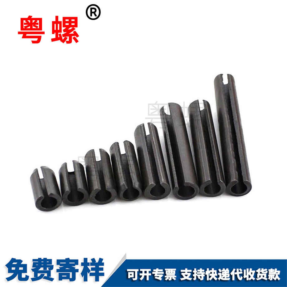 西雙版納圓翼螺母