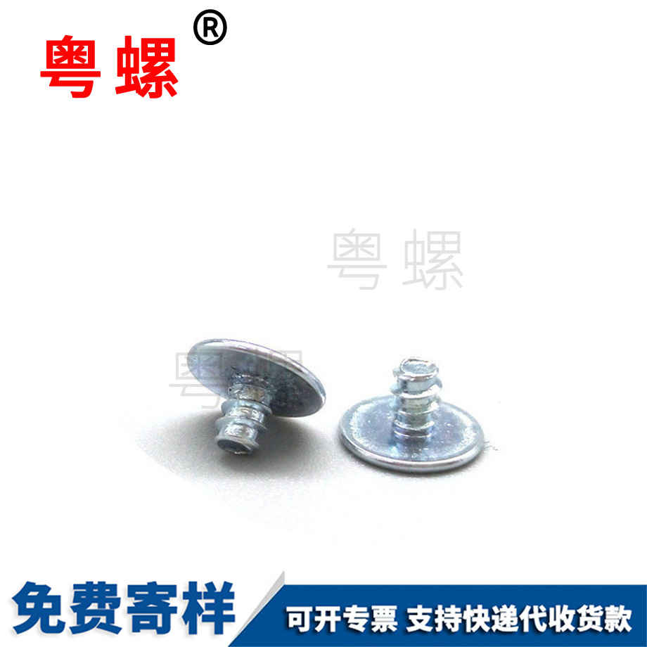 大理非標大理電子螺絲