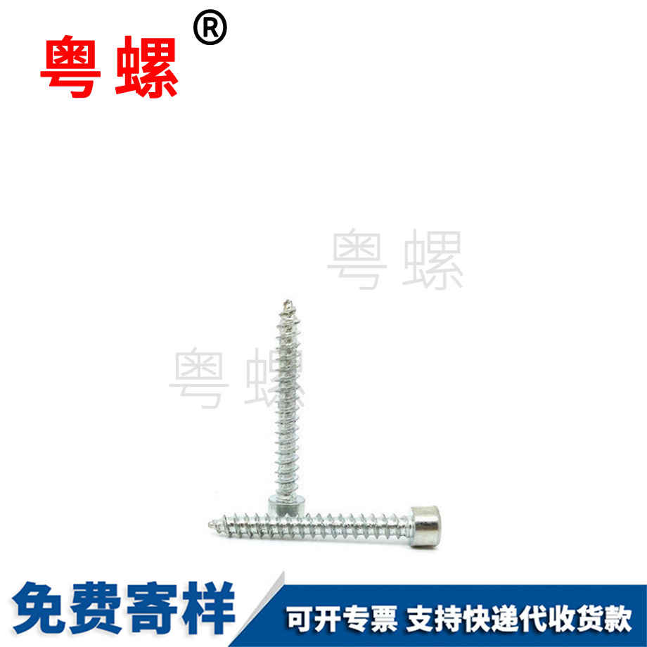 西雙版納圓柱頭螺絲
