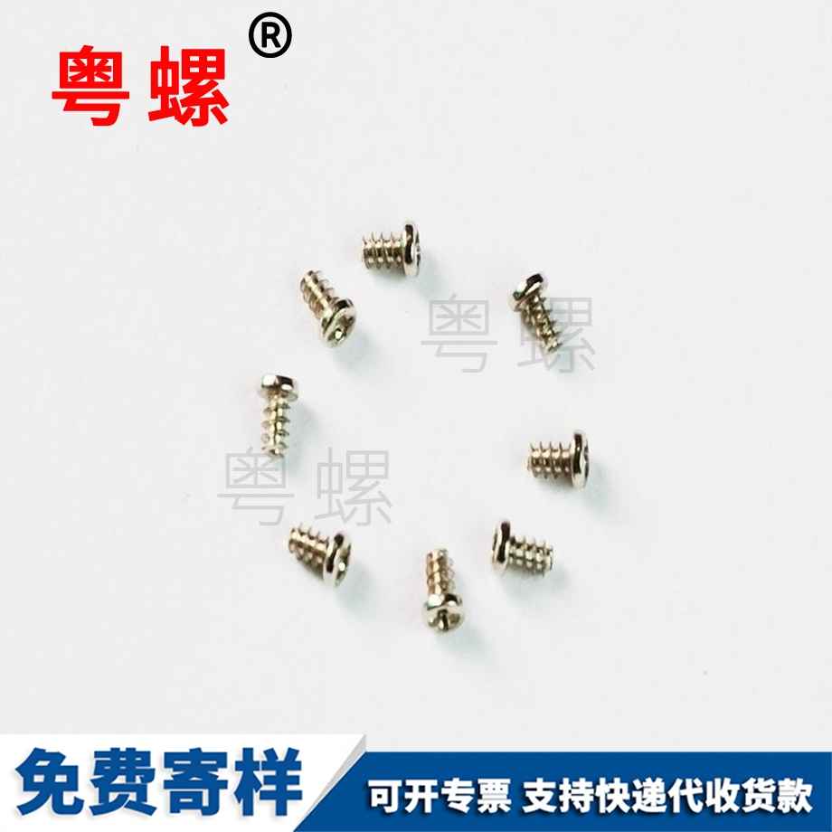 塑膠表殼底蓋邯鄲不銹鋼螺絲