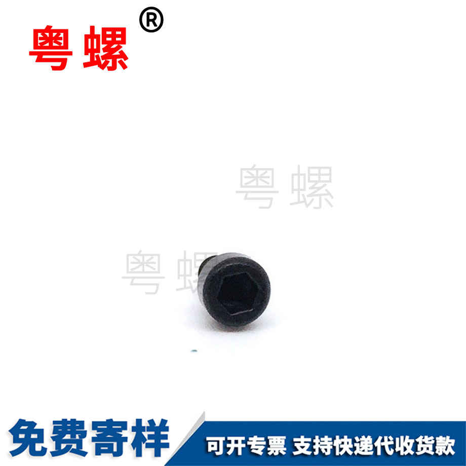 生產(chǎn)杯頭梅花紅河自攻螺絲
