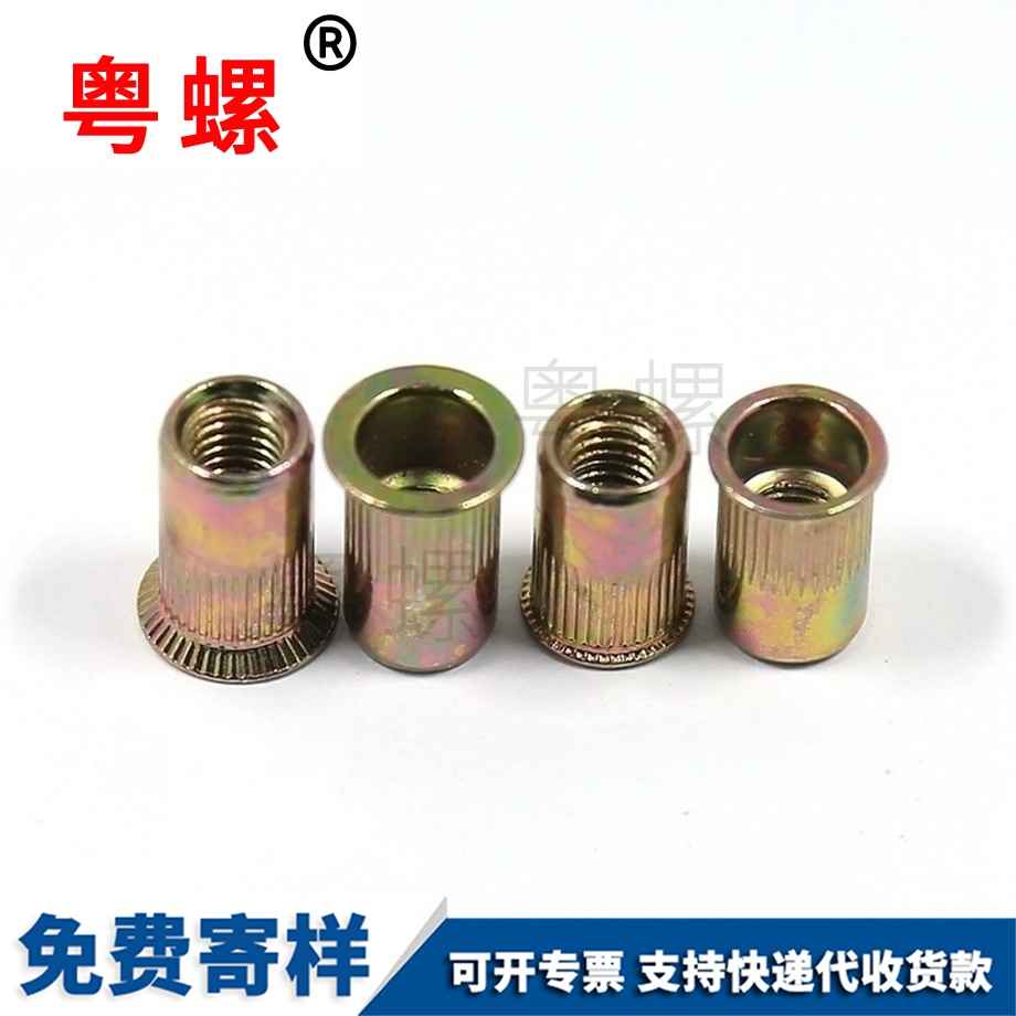大理小沉頭大沉頭鉚螺母