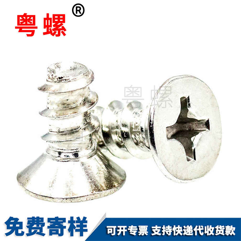 鍍鋅秦皇島自攻螺絲
