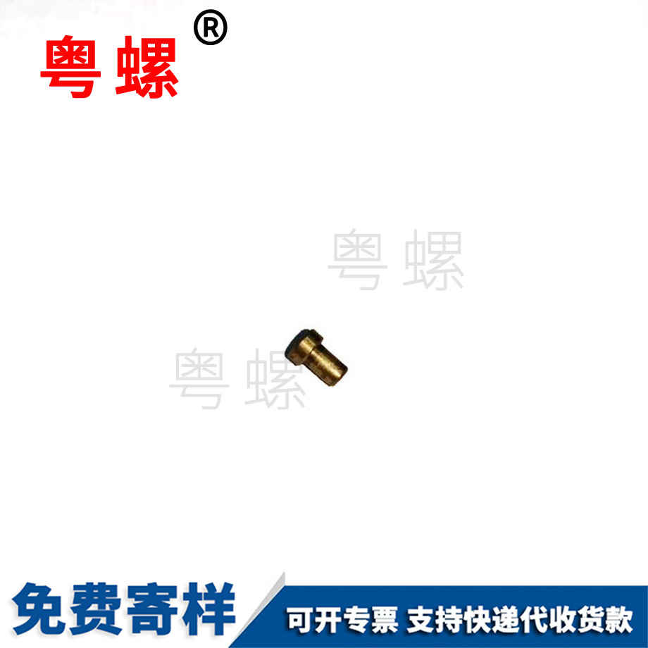 昌都昌都非標(biāo)昌都不銹鋼螺絲