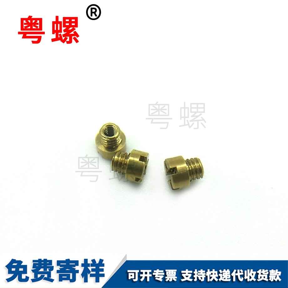 迪慶閃金色螺絲