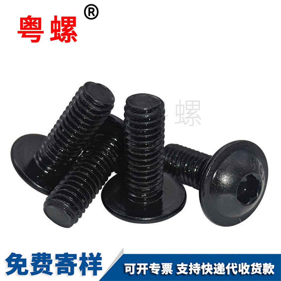 秦皇島圓頭螺栓