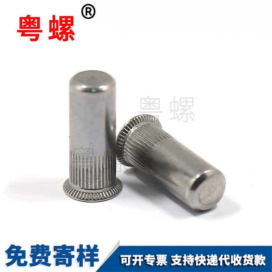 昌都盲孔昌都拉鉚螺母